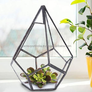 Terrarium en verre géométrique nouvellement moderne jardinière de table élégante idéale pour les plantes succulentes pièce d'accent déco élégante à la maison enduite de noir - Product Image 3