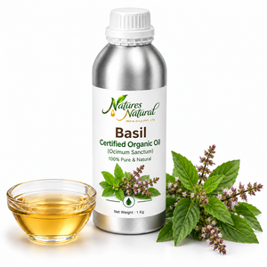 Huile Essentielle de Basilic Biologique Certifiée, Huile Naturelle Aromatique d'Ocimum sanctum pour Cosmétiques, Aromathérapie et Soins Personnels, Fournisseur en Gros - Product Image 1