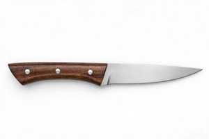 Couteau utilitaire d'extérieur artisanal en acier inoxydable avec manche en bois, lame pleine longueur, outil à lame fixe - Product Image 3