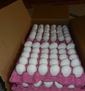 ไข่ไก่สดคุณภาพดี ผสมไข่ไก่สีน้ำตาลและสีขาว บรรจุภัณฑ์แบบกำหนดเองได้ ราคาถูก ไข่จากเนเธอร์แลนด์ ขายส่งจำนวนมาก - Product Image 5