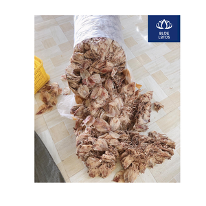 Calamar Seco de Alta Calidad, Ecológico, Superventas, Imprescindible para Sopas y Aperitivos de Mariscos, Envasado al Vacío, Estándares de la UE, Venta Directa al por Mayor - Product Image 1