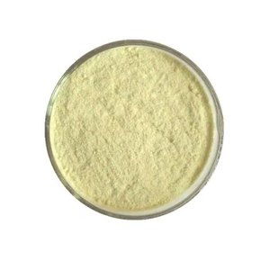 Papaína en Polvo de Alta Actividad 800 TU para una Digestión Eficiente de Proteínas, Apoyo Digestivo y Aplicaciones Comerciales en Alimentos - Product Image 1