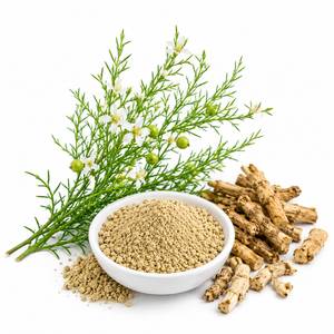 Extracto de Espárragos Adscendens en Polvo a Granel, Extracto Botánico de Alta Calidad para Aplicaciones Ayurvédicas y Nutracéuticas OEM - Product Image 2
