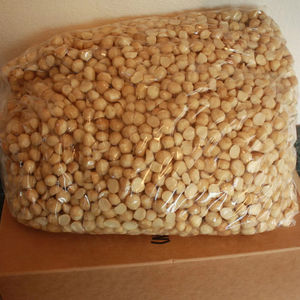 Nueces de macadamia al por mayor, suministro a granel, precio económico, entrega rápida, calidad - Product Image 1