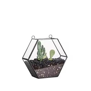 Decorative <b>Frame</b> Metal Terrarium Glass Planter Modern Indoor <b>Plant</b> Holder Geometric Home Accent - Product Image 1