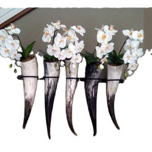 Decoración de Pared o Estante con Cuernos, Hecho a Mano y Natural, Hecho a Mano y Sostenible - Product Image 1