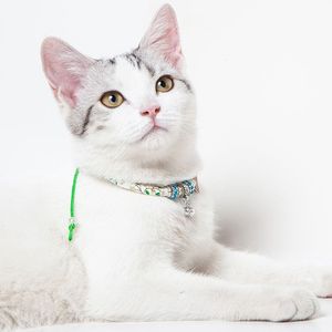 Collare per Gatti Lucky Charms Designer Cable, Collare Premium per Animali Domestici con Stile Unico a Collana - Product Image 6