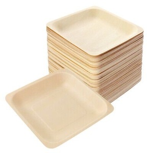 Assiettes carrées en feuilles de palmier robustes de 7 pouces, compostables, pour aliments chauds et froids, lot de 100 pièces, vaisselle de service - Product Image 1