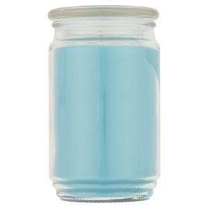 Grande barattolo di vetro a stoppino singolo candela 20 once vasetto da pioggia da giardino candele - Product Image 2