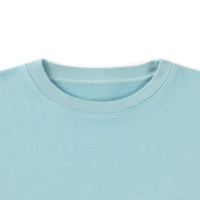 Sweat à capuche décontracté pour homme en molleton 100 % coton, col rond, manches longues, avec logo brodé en 3D et motif uni – Vente en gros
