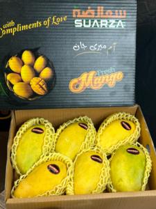 Mangues fraîches pour la vente en marché – Mangues fraîches, nettoyées et emballées, de qualité supérieure, choix tropical sain - Product Image 5