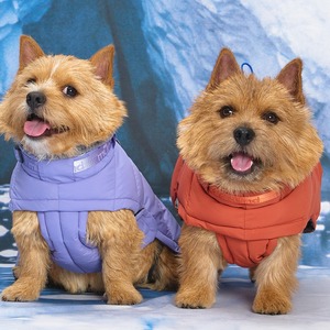 [MUNIKUND] Thermal Up Padding Air 2 Dog <b>Jacket</b> Winter Coat Vegan Down Waterproof Pet Outerwear for Cold Weather - Product Image 3