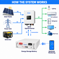 Batterie solaire LiFePO4 TORCHN professionnelle CE 51,2 V 100 Ah 5 kWh à cycle profond longue durée pour équipement de surveillance à distance