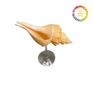 Decorative Seashell Glass Handmade <b>Wine</b> <b>Goblet</b> For High End Tropical Themed Bars And Restaurants Bulk Sale - Product Image 6