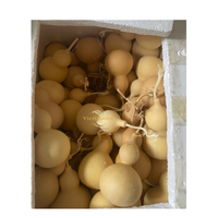 Gourde séchée naturelle écologique, citrouille décorative pour la peinture artisanale, la décoration intérieure et les projets traditionnels faits à la main