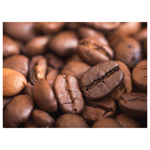 ขายส่งเมล็ดกาแฟอาราบิก้าคุณภาพพรีเมียม พร้อมส่ง เกรดอาหาร คุณภาพสูงสุด สำหรับส่งออกจำนวนมาก - Product Image 3