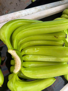 <b>Fresh</b> Cavendish <b>Bananas</b> with High Sweetness and Quality Export Ready from Vietnam Perfect for Global Retail and Trade - Product Image 3