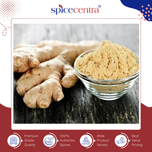 Prix bas du marché pour une poudre de gingembre cru séché 100 % pur de qualité supérieure pour la cuisine, provenant d'un fabricant et exportateur indien. - Product Image 4