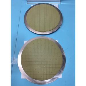 2 SPEEDFAM 2805-727003 BACKING, POLISH PAD - Equipo y piezas de semiconductores de confianza de Trusted Global Legacy - Product Image 1