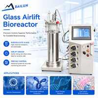 Biorreactor de vidrio con elevación por aire, tanque de fermentación con aireación, fermentador, biorreactor para cultivo de tejidos vegetales con cuchilla de baja cizalladura