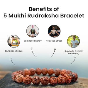 Bracelet Mala Unisexe en Perles de Bois de Rudraksha Naturel Marron, Certifié par un Expert, Idéal pour la Méditation, Cadeau Fait Main - Product Image 2