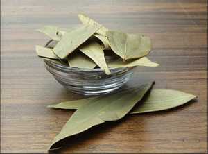 Feuilles de Laurier de Qualité Supérieure, Naturelles, Fraîches et Entières pour la Cuisine, la Transformation Alimentaire et la Vente en Gros d'Ingrédients Épicés - Product Image 3