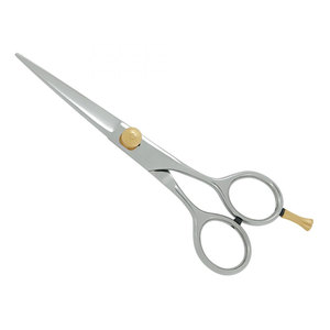 Tijeras de Peluquería Profesionales al por Mayor con Logotipo Personalizado, de Acero Inoxidable, Color Plateado, con Tornillo de Ajuste Dorado - Product Image 1