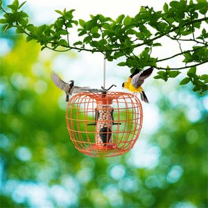 Mangiatoia per Uccelli Anti-Scoiattolo con Gabbia e 4 Porte in Metallo, Accessori per Uccelli - Product Image 5