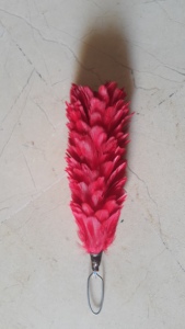 Cómodo Bralette de Algodón Trenzado Moderno, Ligero, Suave al Tacto y Resistente al Agua |   Hackle al por Mayor - Product Image 5