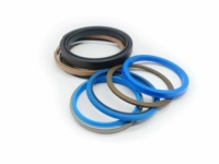 Kit de joints d'étanchéité pour cylindre hydraulique de flèche, bras et godet d'excavatrice, compatible SKF, pour Komatsu, Hyundai, Doosan, Volvo, Kobelco, Sany, Yanmar, Liebherr