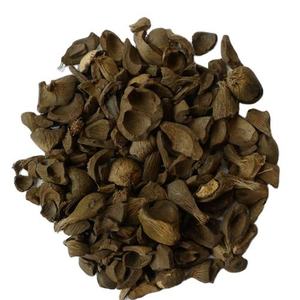 Coques de noix de palme bien séchées pour biomasse de qualité export - Product Image 1