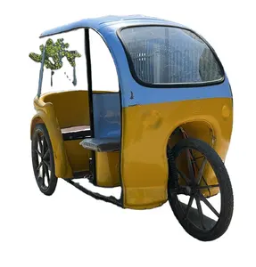 Electric tricycle electric rickshaw CKD 150 units one container with big torque motor 2000W for adult use