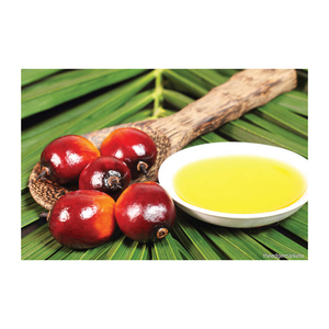 น้ำมันปาล์มขายส่ง ราคาถูก น้ำมันปรุงอาหารบริสุทธิ์สำหรับส่งออก - Product Image 5