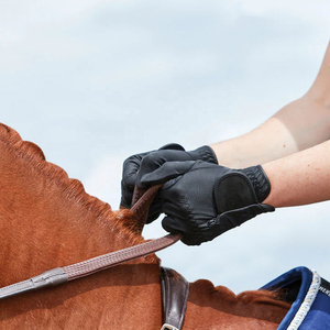Guantes de Equitación de Cuero Unisex OEM de Alta Calidad, Colores y Tallas Personalizables, Logotipo Personalizado, Temporada de Invierno, MOQ Bajo, Envío Rápido - Product Image 4