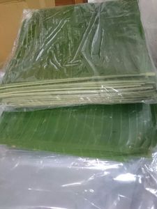 Hojas de Plátano Congeladas de Vietnam, Frescas de Fábrica, Hojas Verdes Naturales para Envolver Alimentos, Cocinar y Exportar - Product Image 4