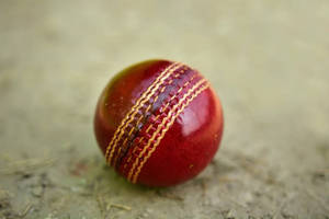RX Sports Red Custom Logo Cricket Hard <b>Ball</b> Hand Stitched Premium Quality Eco-Friendly Durable Lightweight Professional Cricket - Product Image 6