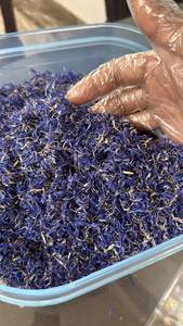 OEM Private Label Premium <b>Dried</b> Blue Cornflower <b>Petals</b> Manufacturer Bulk Supplier - Product Image 1