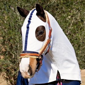 Mantas para Caballos de Alta Calidad, Gruesas, de Lana, Cálidas para Invierno, Impermeables, para Montar a Caballo - Product Image 1
