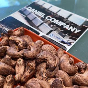 Nueces de Anacardo de Camboya al por Mayor W450, Tostadas con Sal, Alta Calidad y Sabor Natural, con Empaque al Vacío y Servicio OEM/ODM Disponible - Product Image 3