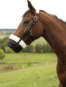 Muselière Anatomique pour Cheval en Cuir et Nylon de Haute Qualité, Anti-Boisage, Anti-Élancement, Taille Personnalisée, Légère et Portable - Product Image 2