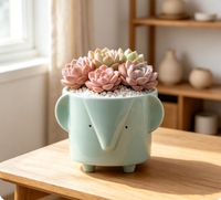 Vente en gros de pots à fleurs en céramique émaillée, modernes, minimalistes, contemporains, couleur et taille personnalisables, écologiques, décoration de jardin et de maison