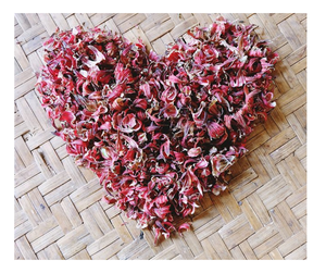 Hibisco Seco de Vietnam: Proveedor de Hibisco Seco Natural para Bebidas y Té de Roselle, Exportación a Granel - Product Image 5