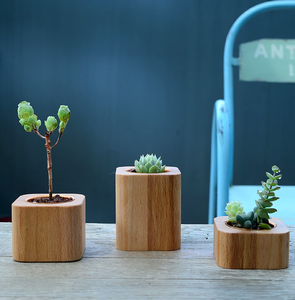 Acacia Wood <b>Planter</b> Pot Custom Square Shape Solid Wood <b>Vegetable</b> Flower Pots Home Outdoor Planting Pots - Product Image 4