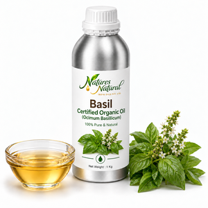 Huile de basilic biologique certifiée, ingrédient botanique naturel à base de plantes pour l'aromathérapie, les cosmétiques et les soins personnels, fournisseur en gros en Inde - Product Image 1