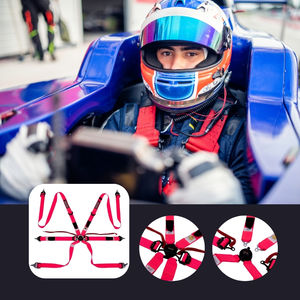 TBRACING ULTRA-D 2" Harnais de course homologué FIA à 6 points, Ceinture de sécurité, Brevet Taïwanais, Ultra Léger, Longue Durabilité, OEM ODM Personnalisé - Product Image 2