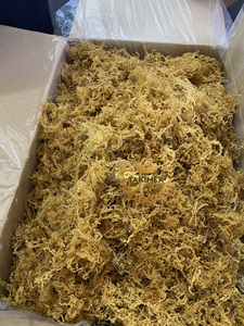 Wholesale <b>Natural</b> Dried <b>Sea</b> <b>Moss</b> with Salt Seasoned Takimex 10oz 20oz Bag High Quality from Vietnam <b>Sea</b> <b>Moss</b> St Lucia - Product Image 3
