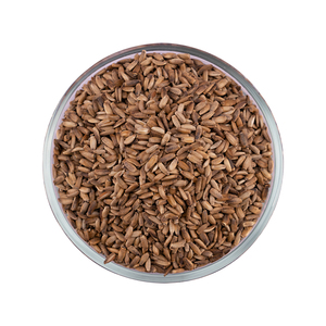 Semillas de cardo mariano auténticas de los principales exportadores de la India con precios competitivos para el suministro a granel y el etiquetado privado - Product Image 2