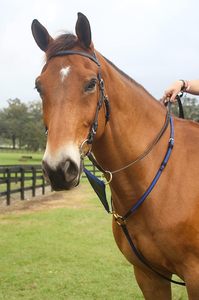 Martingale de course en nylon pour chevaux, jaune et noir, de qualité supérieure, fabriquée aux États-Unis. Martingale de course conçue avec des matériaux haut de gamme. - Product Image 3