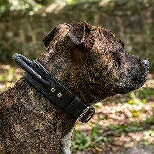 Premium Genuine Leather Heavy Duty Tactical K9 Dog Collar Rolled Leather Control Handle for <b>Large</b> Breed Dogs - Product Image 6