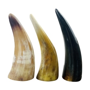 Natural Polished Animal Horn Home Decor Showpiece <b>Gift</b> Item Table & <b>Desk</b> Decor - Product Image 1